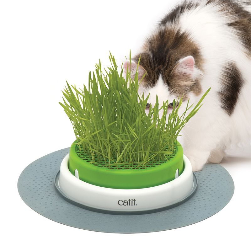 Catit Senses 2.0 Grastopf zu Discountpreisen % bei bitiba.de