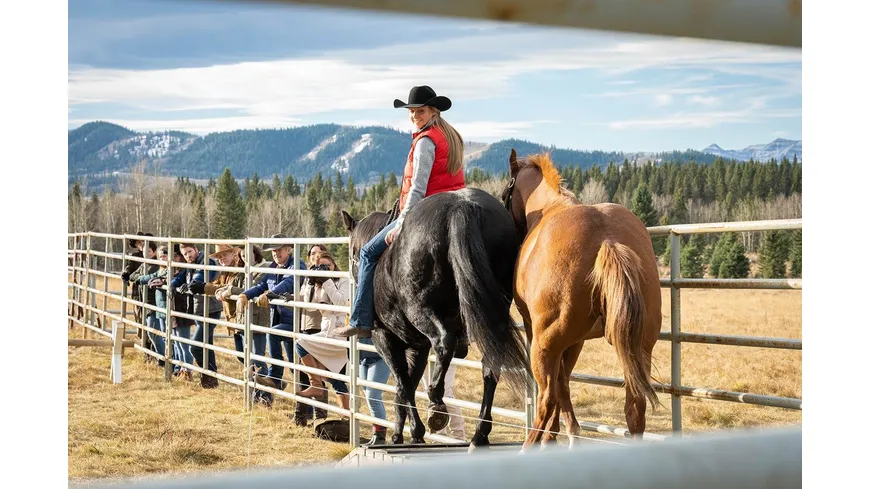 Heartland - Paradies für Pferde - Staffel 14  [4 DVDs]