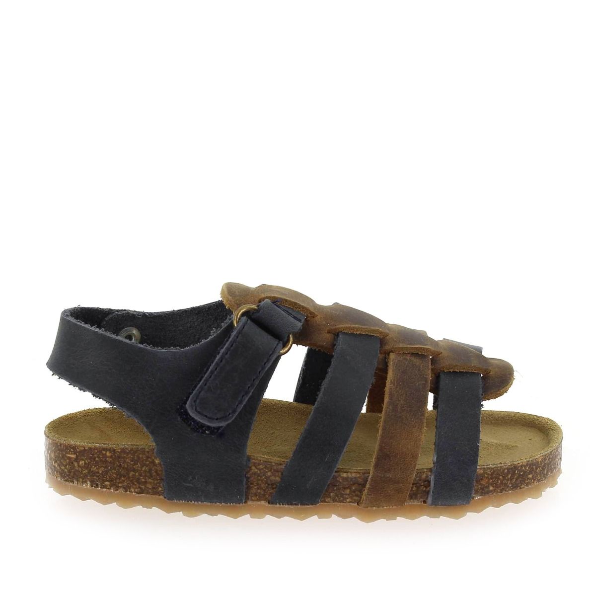Plakton   PADOVA - Marine Camel