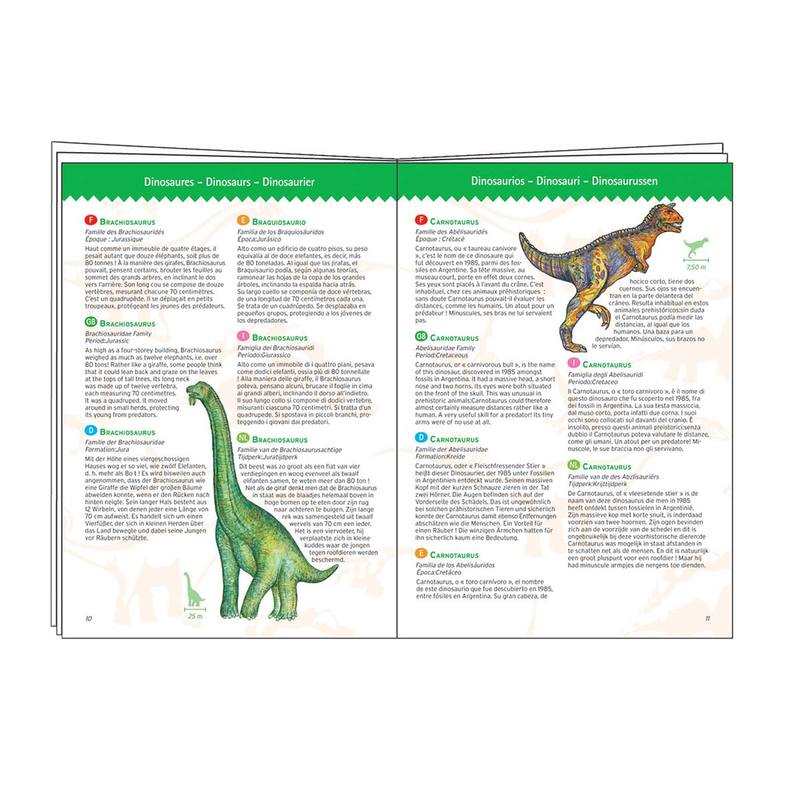 Puzzle Dinosaures 100 pièces + poster et livret Djeco