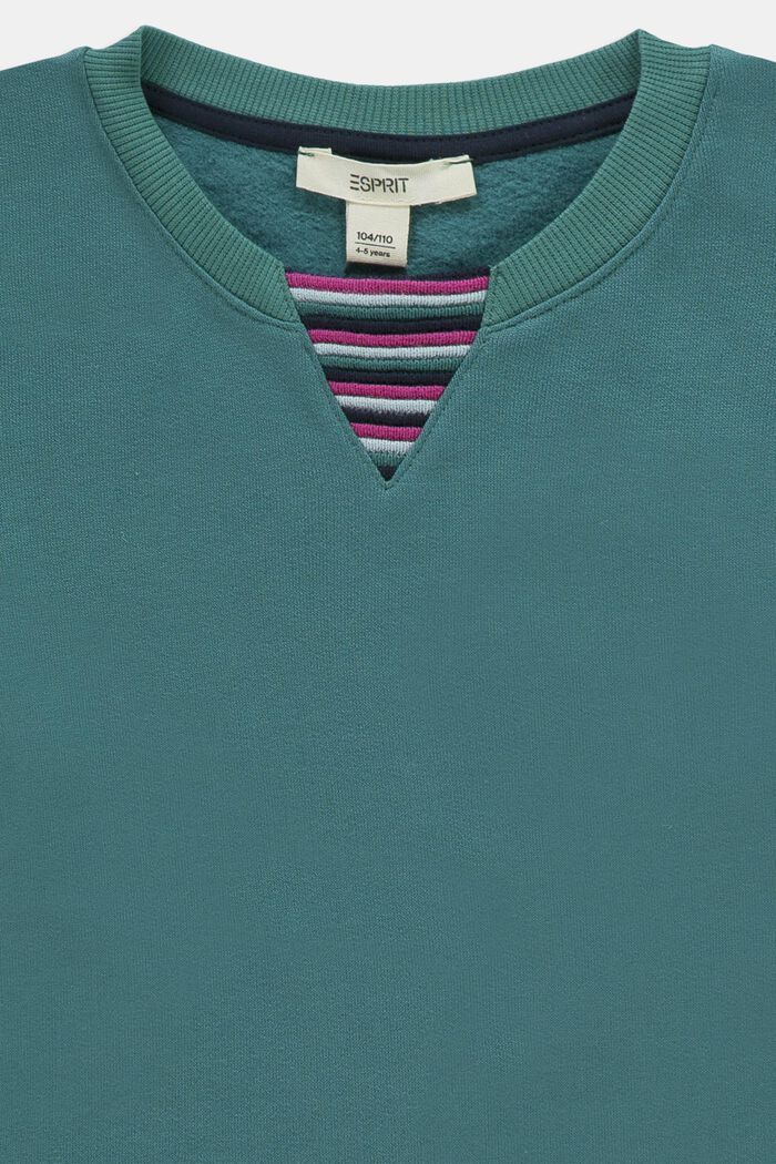 Sweatshirt aus Baumwolle