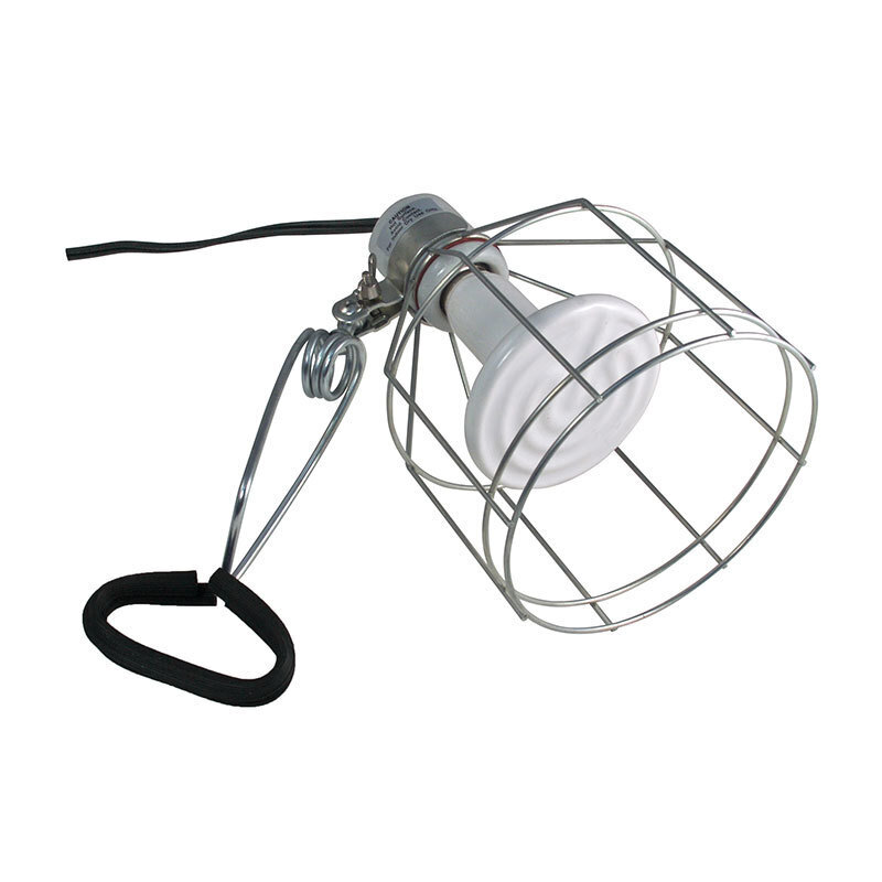 ZooMed Werkzeuge ZooMed Klemmlampe + Schutzgitter