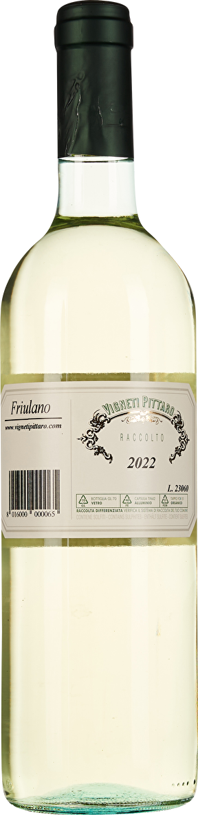 Pittaro Friulano Grave Friuli 2022