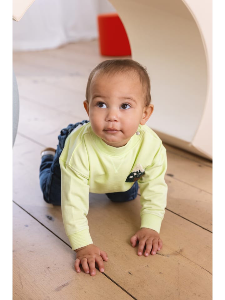 Noppies Sweater Grasse in Shadow Lime günstig kaufen