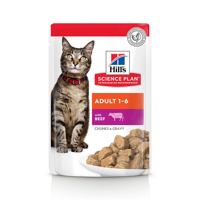 Sparpaket Hill's Science Plan Adult 48 x 85 g zu TOP-Preisen % | bitiba