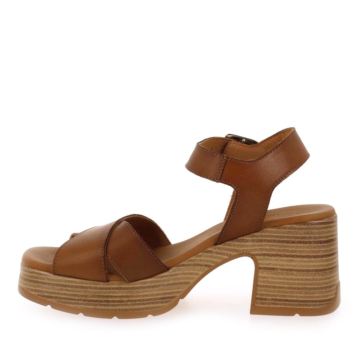 Paula Urban  25549 - Camel
