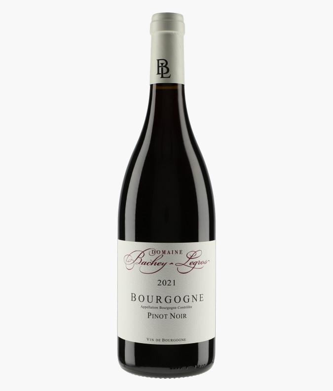 Bourgogne Pinot Noir 2021BACHEY-LEGROS