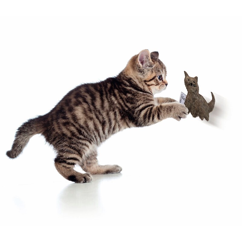 Catlab Baldrian & Catnipspielzeug Catlab S Katzenspielzeug braune Katze mit Katzenminze