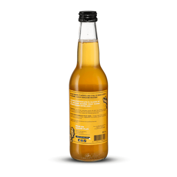 Kéfirade Kéfir au Gingembre 33 cl