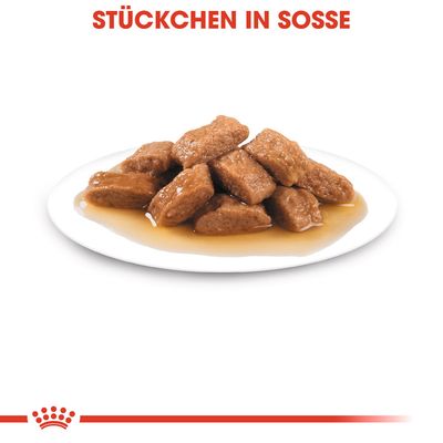 Royal Canin Medium Adult in Soße