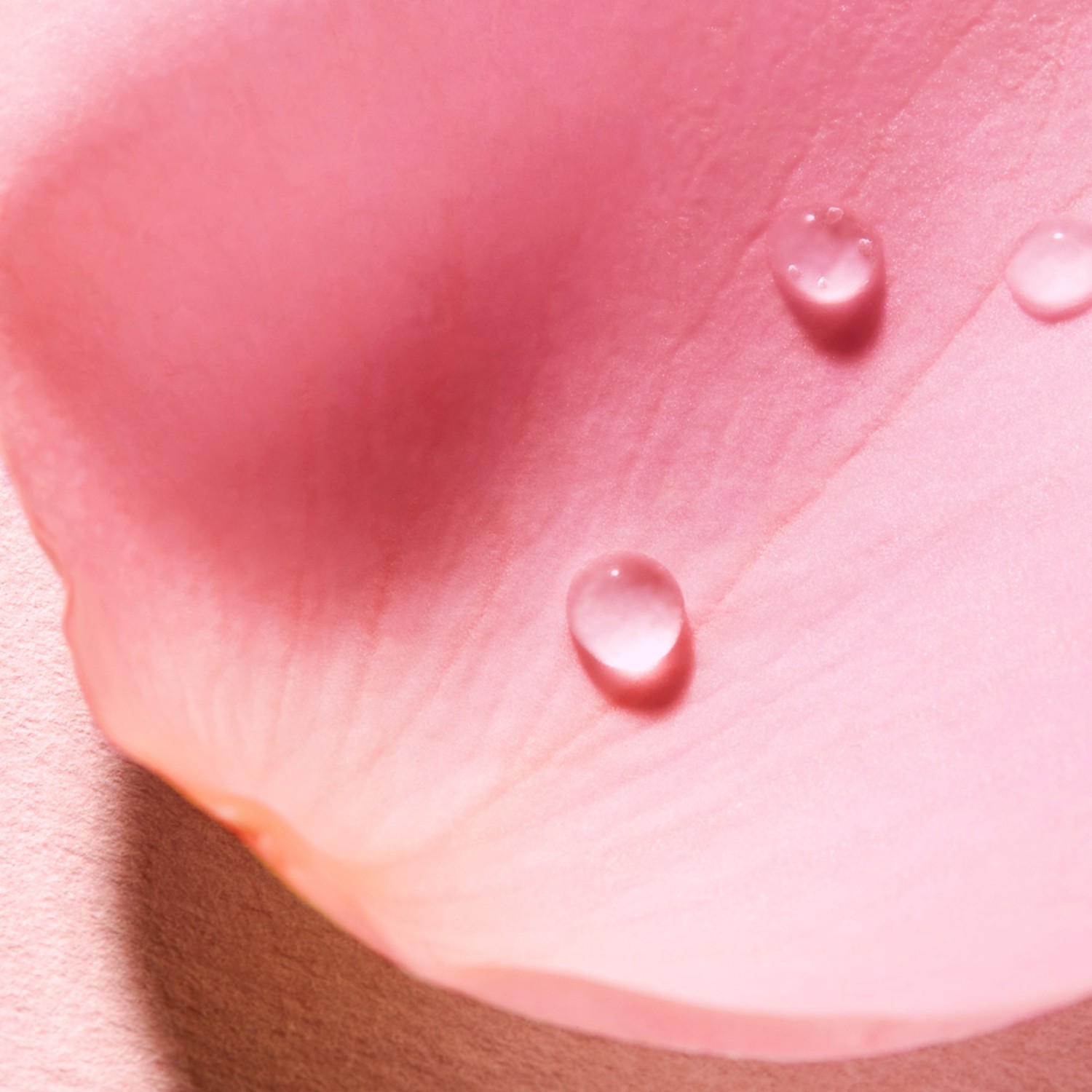NUXE Voluptuous parfumska voda
