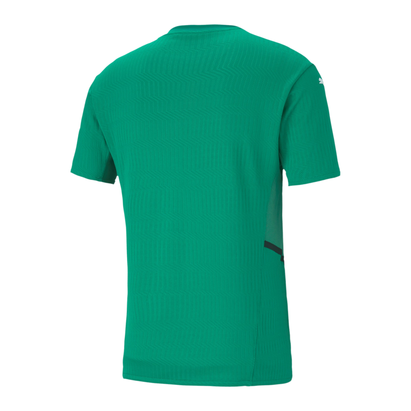 PUMA teamCUP Trikot Grün F05