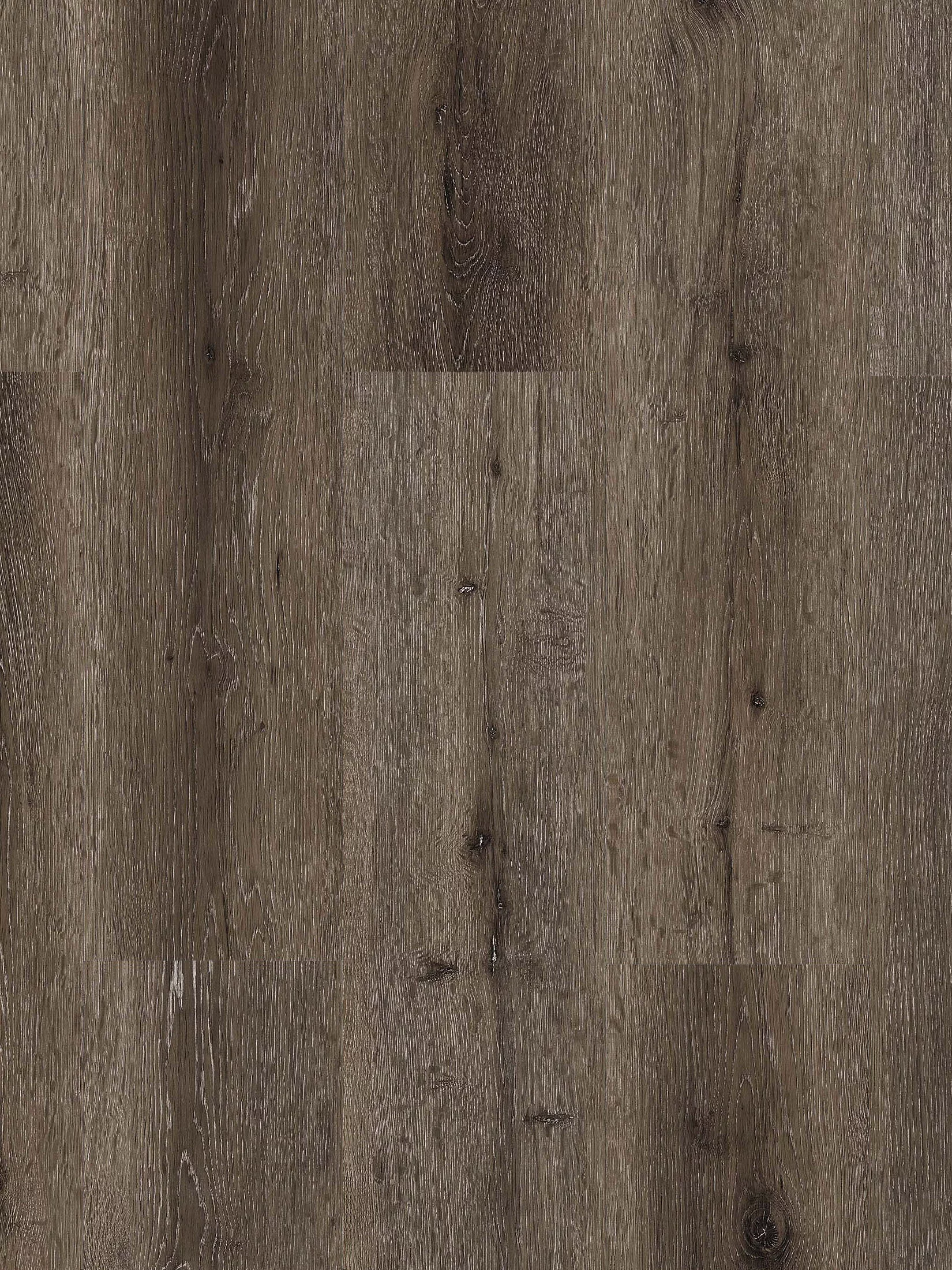Whisper Wood Vinylboden, Elegance Pine 10553