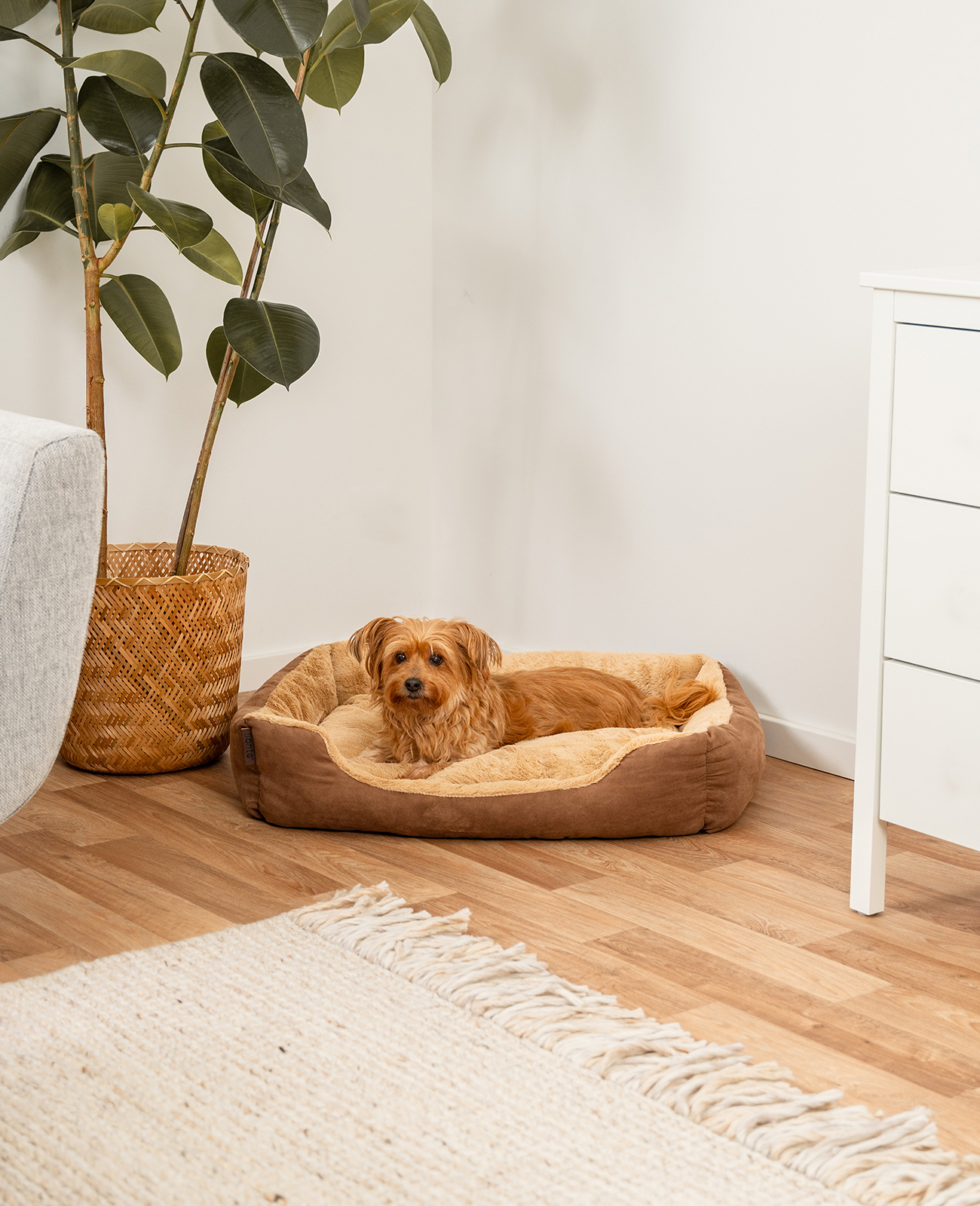 Lionto Hundebetten Lionto Hundebett mit Wendekissen braun L