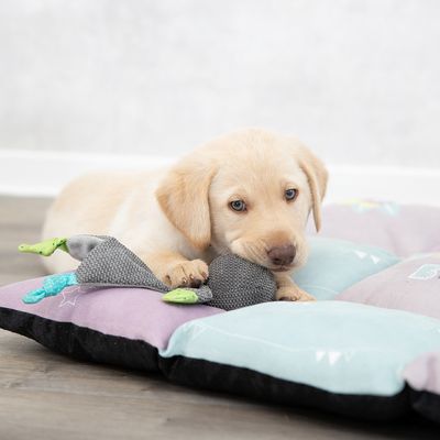 Trixie Junior Liegematte Patchwork