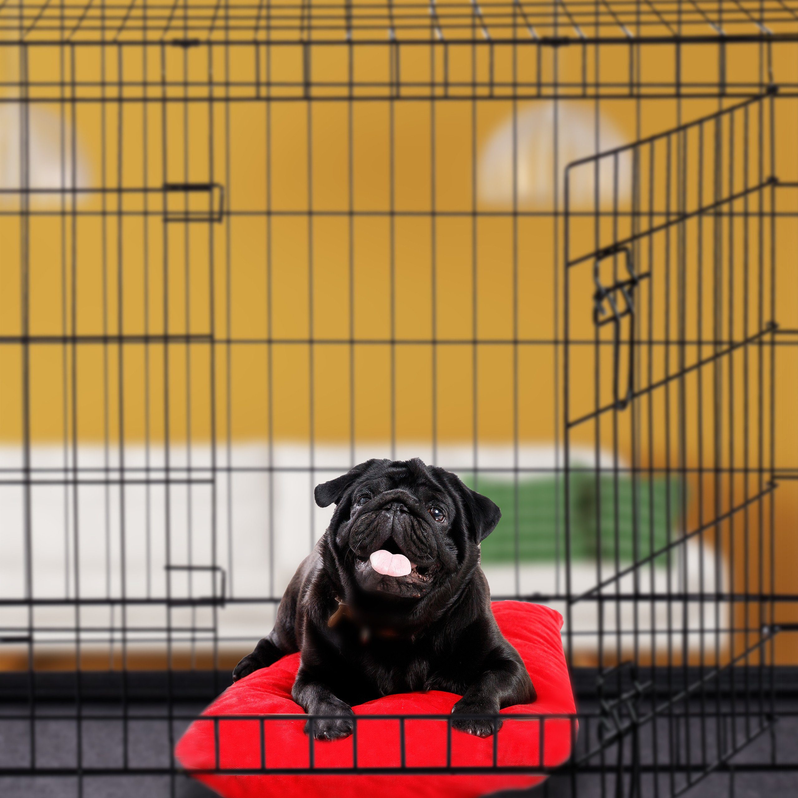 relaxdays Hundekäfig Faltbarer Hundekäfig Größe S-XXXL, S