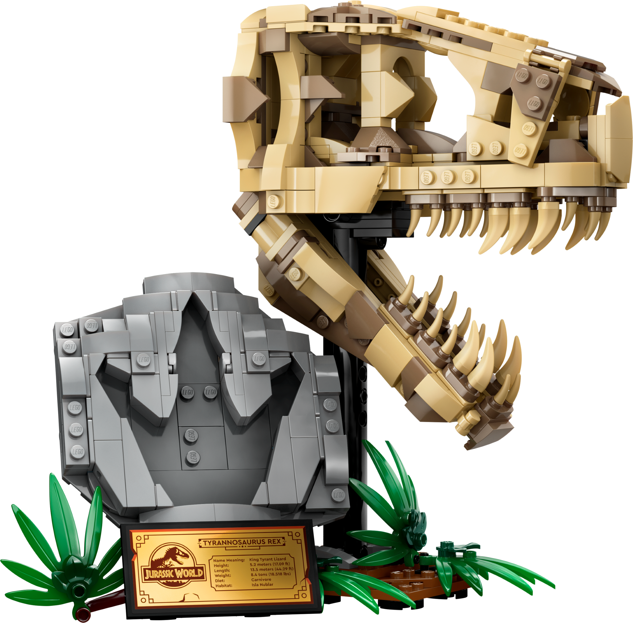 Dinosaurier-Fossilien: T.-rex-Kopf 76964