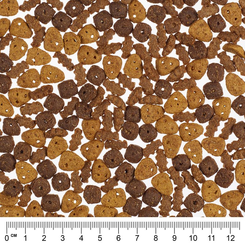 Probierpaket Catessy Knuspersnacks 3 x 65 g