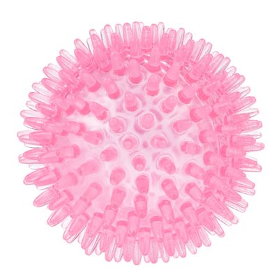 TIAKI Hundespielzeug Stacheliger Ball