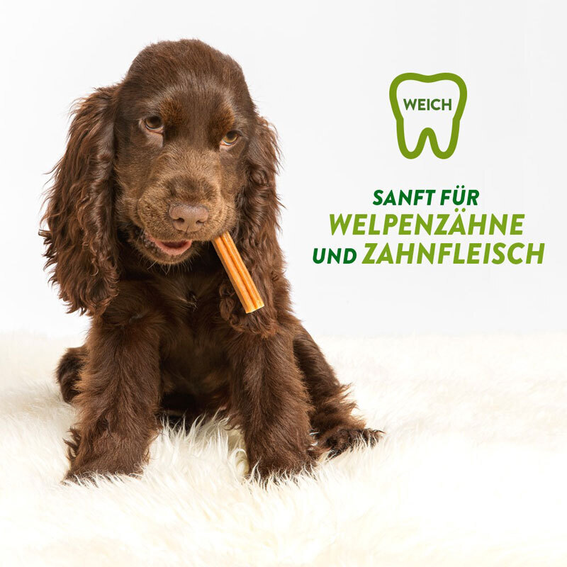 WHIMZEES Snacks WHIMZEES Puppy Zahnpflege für kleine Hunde, 14x