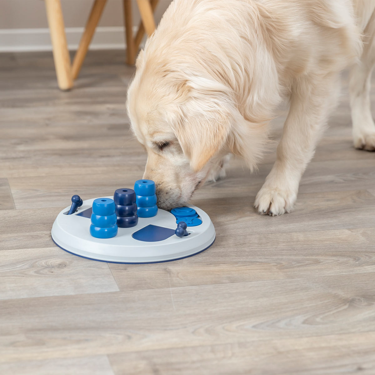 Trixie Dog Activity Flip Board XXL günstig kaufen bei ZooRoyal