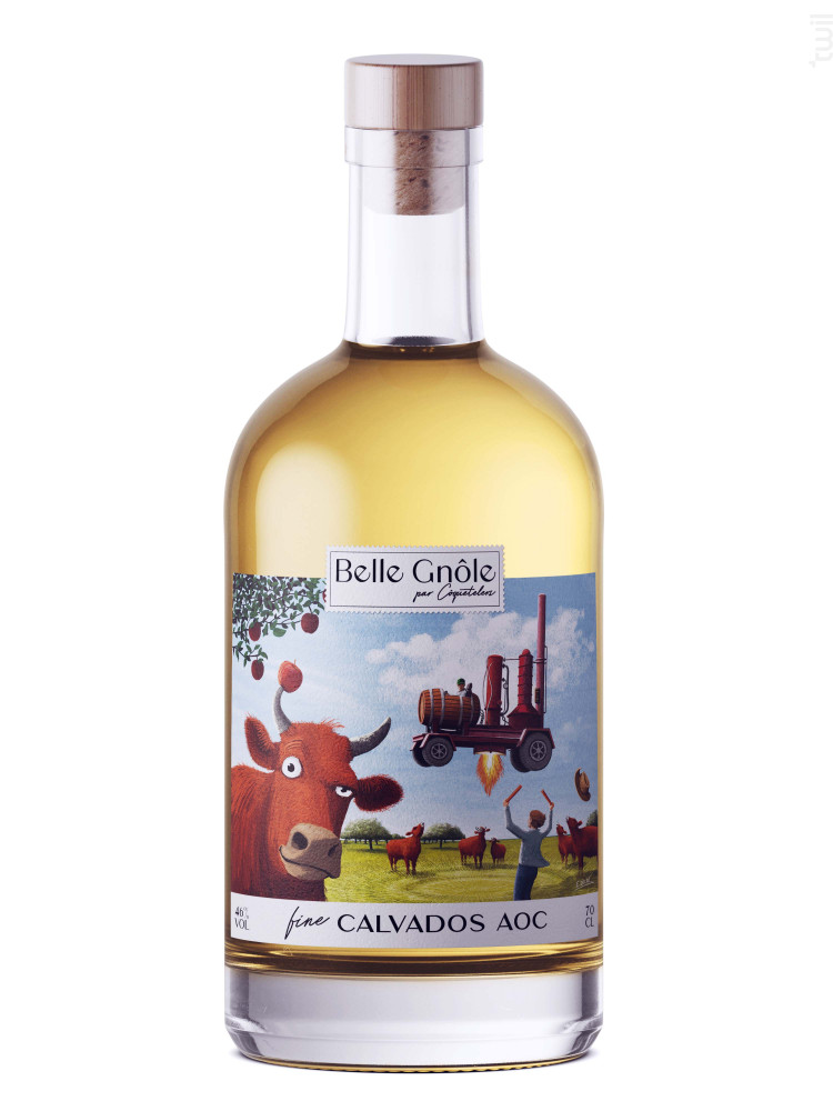 Fine Calvados Belle Gnôle Eau de Vie  France  Calvados  46% Non millésimé 35cl