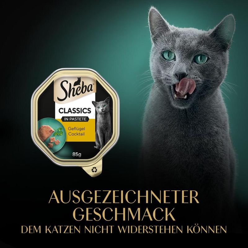 Sparpaket Sheba Schale 44 x 85 g zu TOP-Preisen