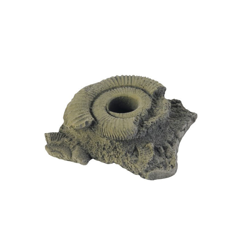 Variogart Dekoration Variogart Fossilien klein