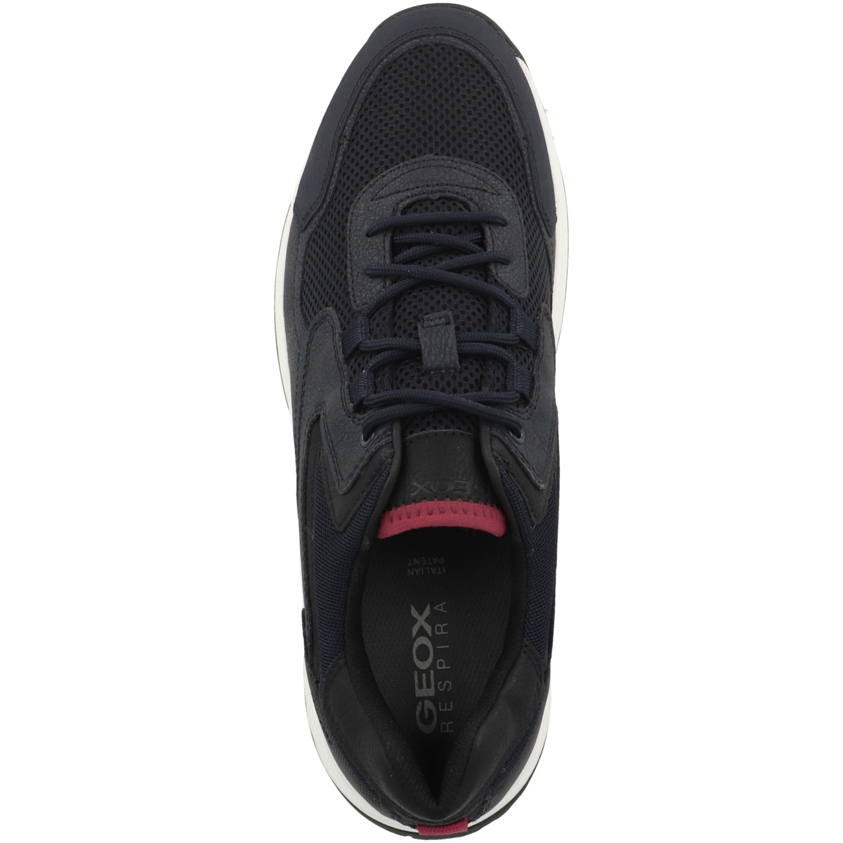 Geox U Terrestre B Sneaker Low dunkelblau