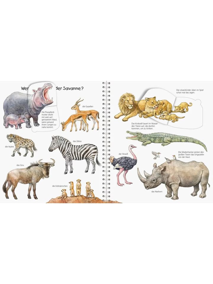 Ravensburger Wieso? Weshalb? Warum? Mein junior-Lexikon: Tiere günstig kaufen onesize