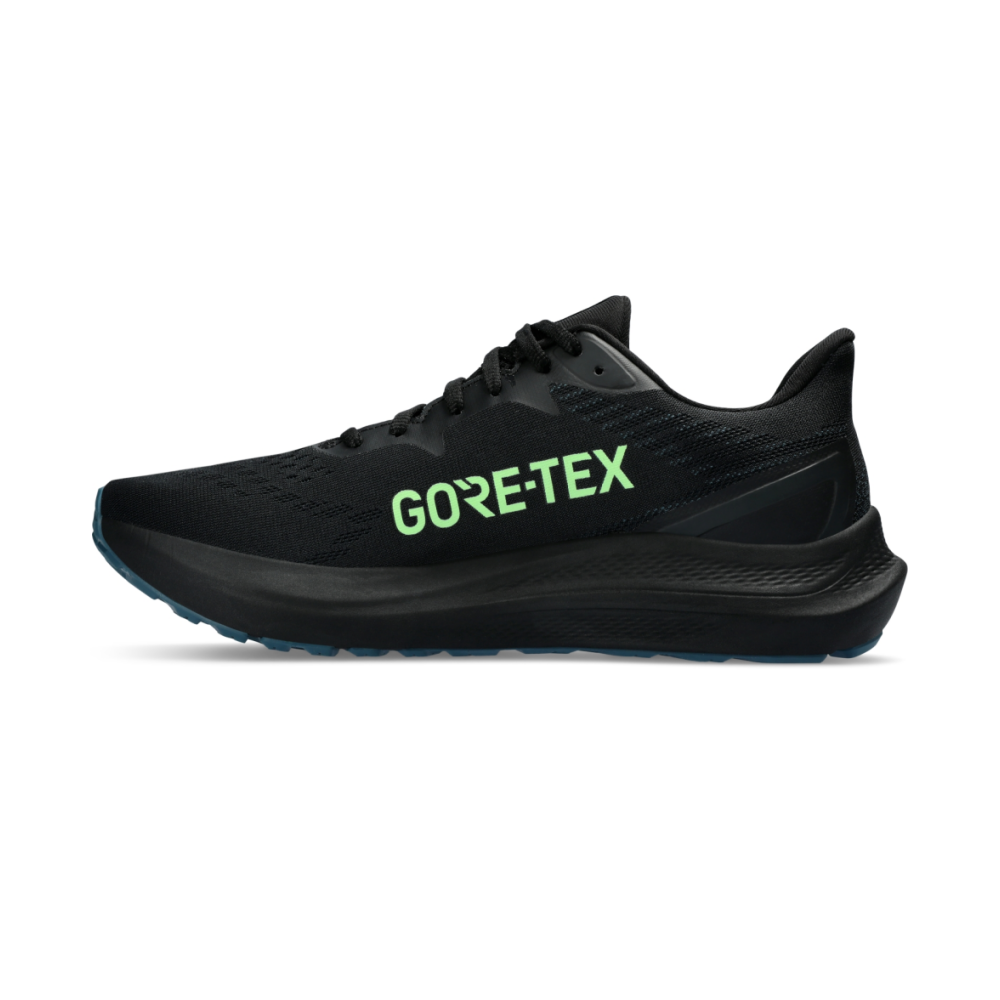 Asics GT 2000 12 GTX 1011B687-001 / schwarz