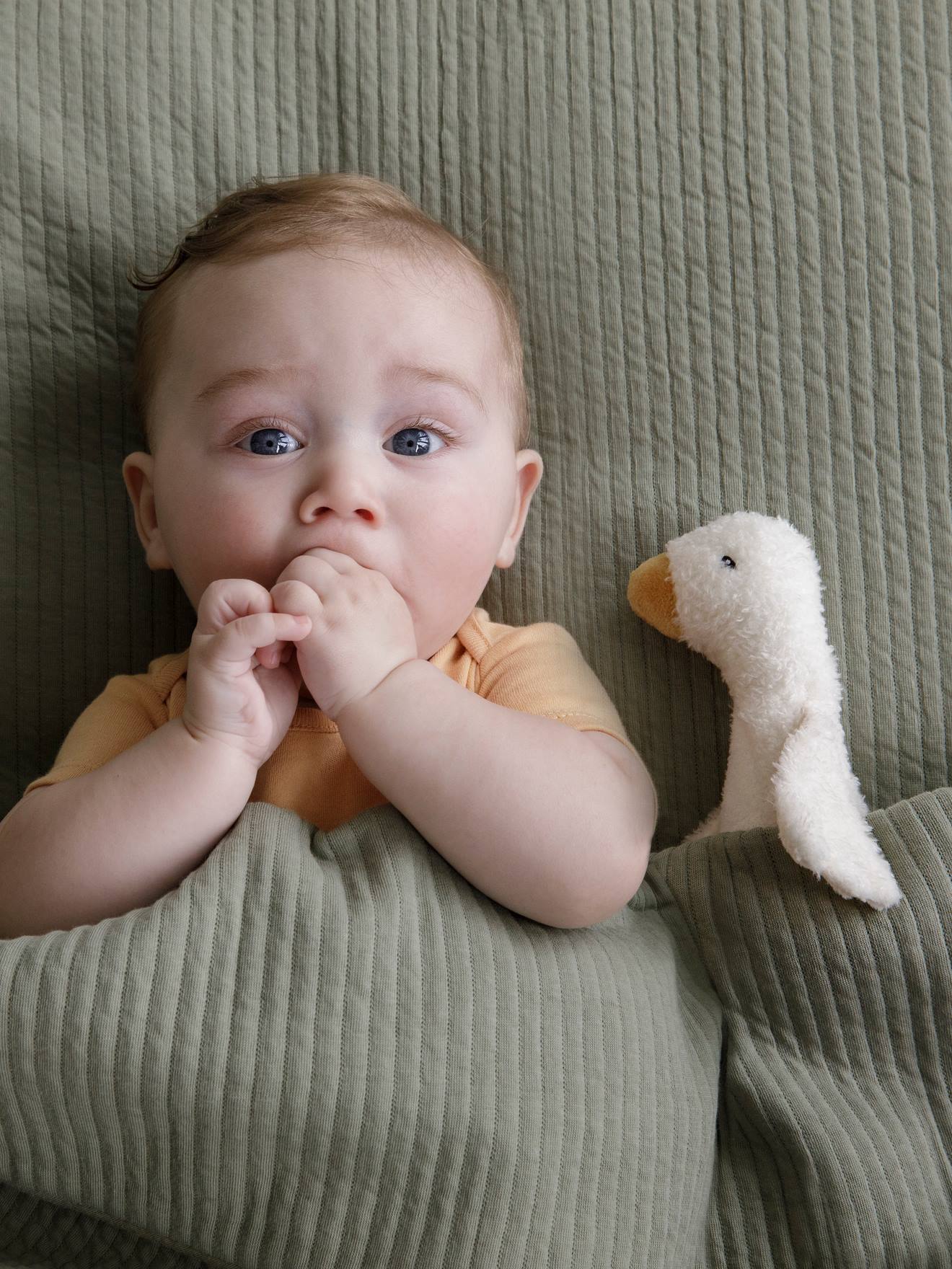 Hochet couineur Little Goose