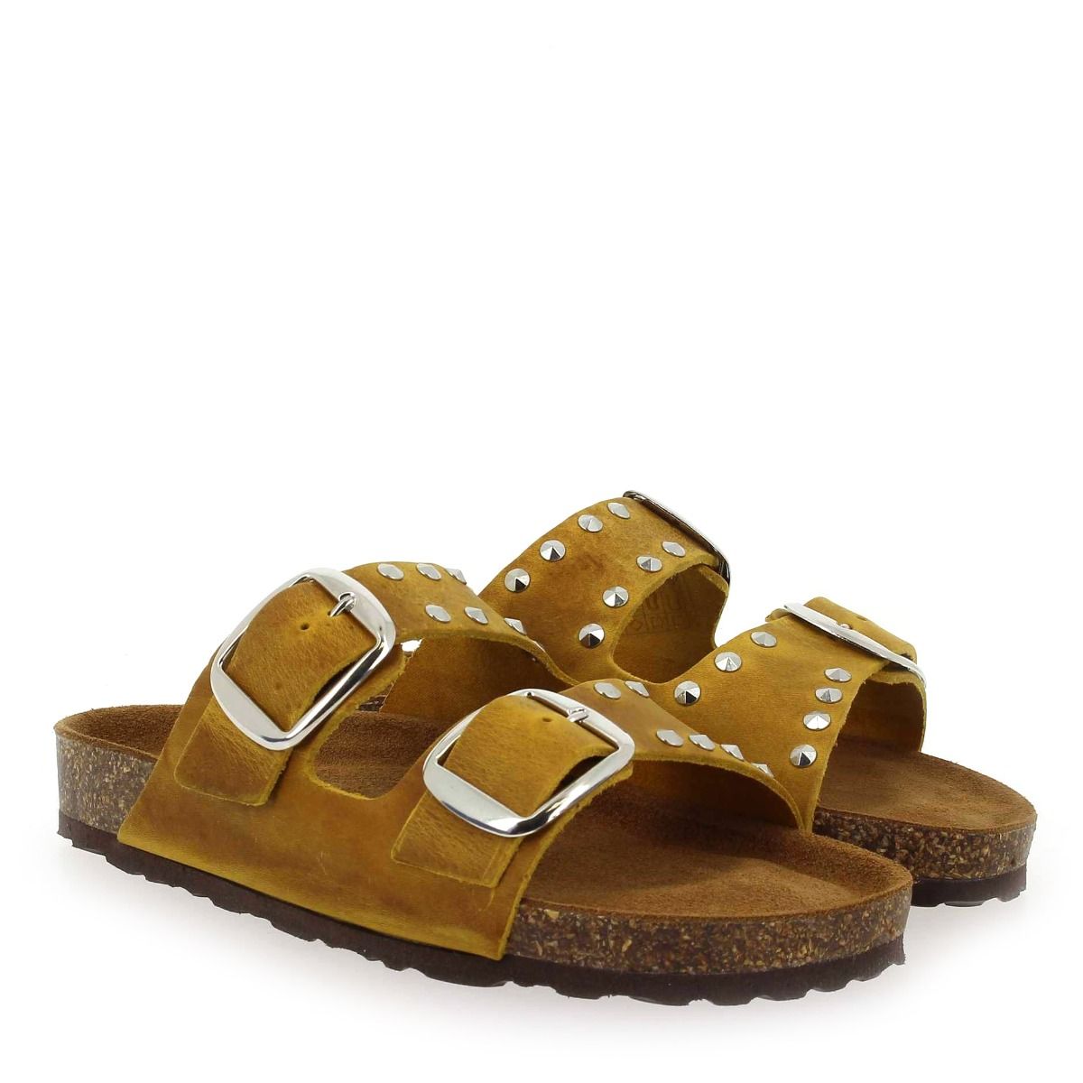 Bio gold  1018 E 96 - Moutarde