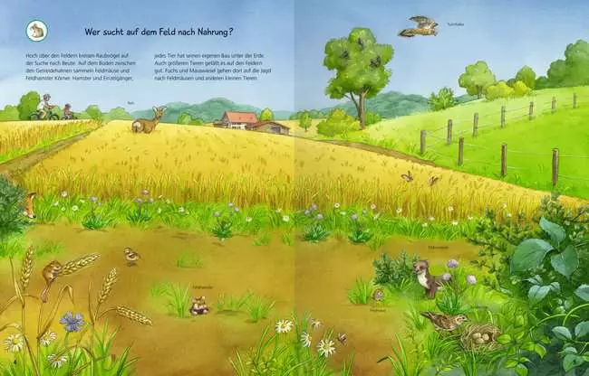Ravensburger Wieso? Weshalb? Warum? Stickerheft: Heimische Tiere