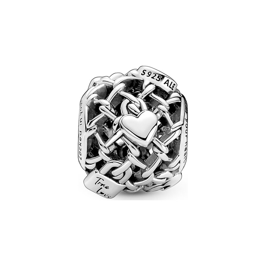 Pandora Charm Moments