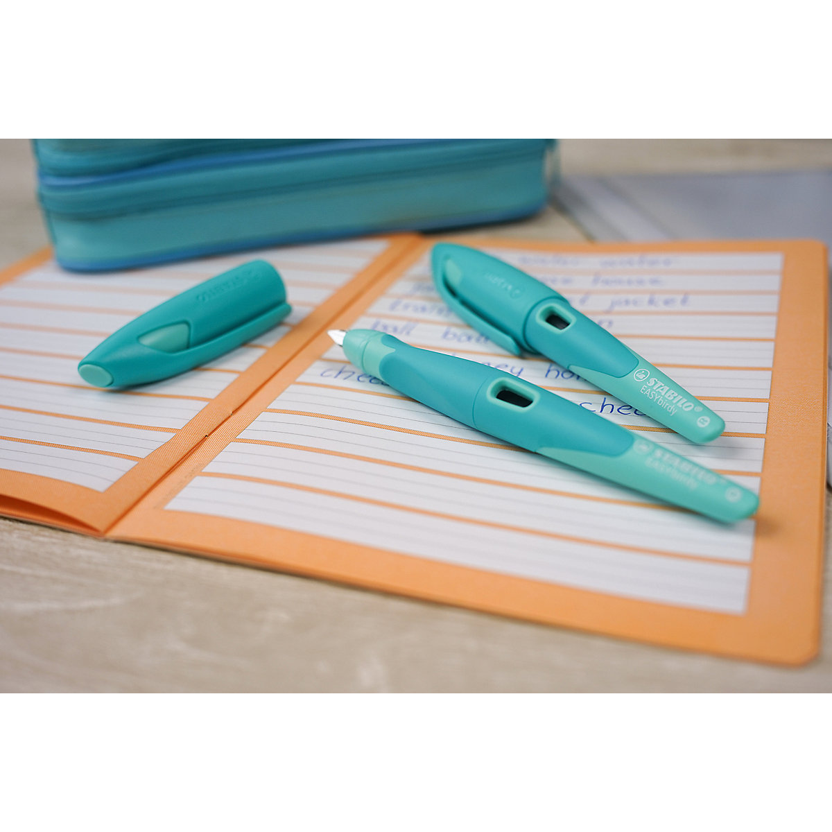 Schulfüller EASYbirdy Rechtshänder A-Feder Pastel Edition soft aqua grün, inkl. Patrone & Einstellwerkzeug