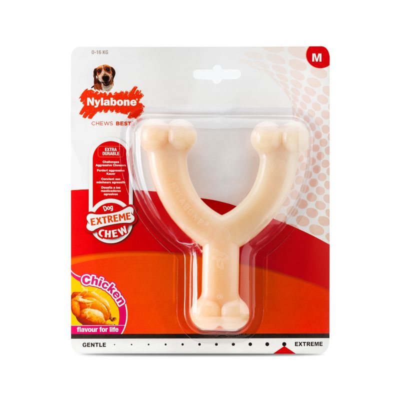 Nylabone Wishbone Kauspielzeug mit Hühnchengeschmack | bitiba %