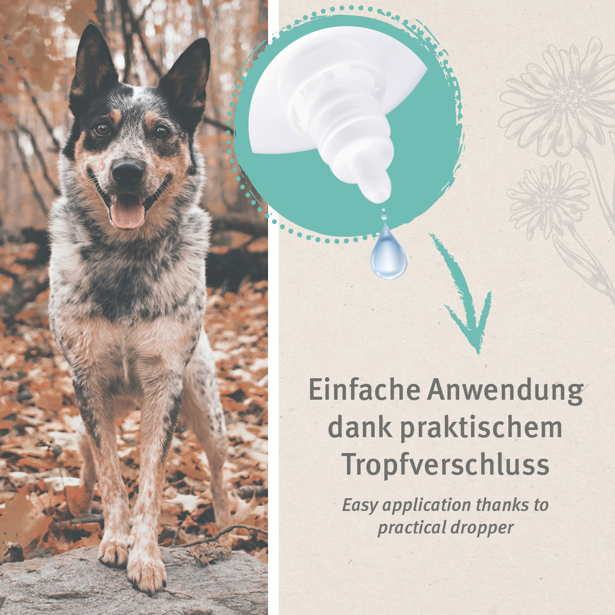 Aniforte Augen- & Ohrenpflege Aniforte VET Ohrentropfen 50ml
