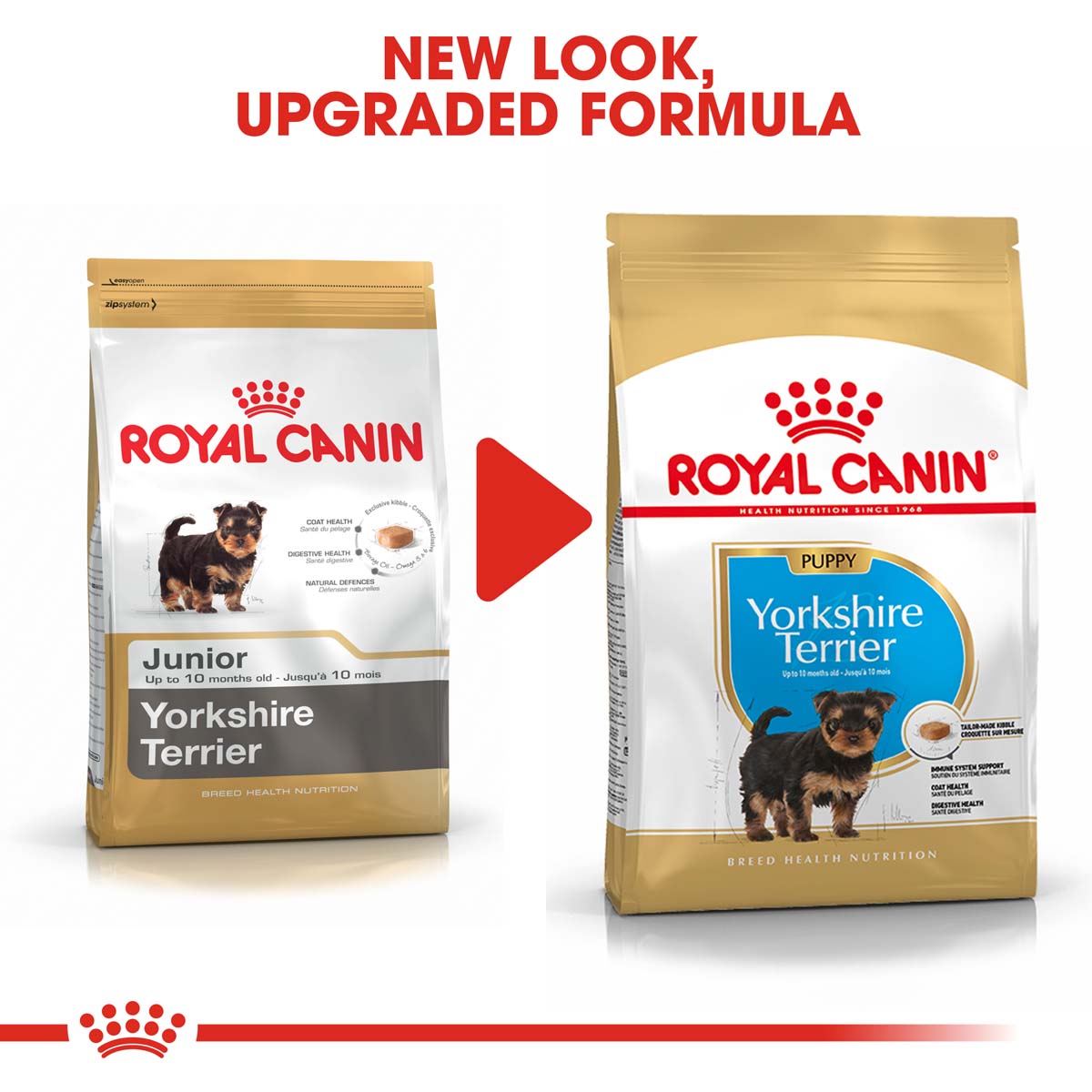 ROYAL CANIN Yorkshire Terrier Welpenfutter trocken bei ZooRoyal