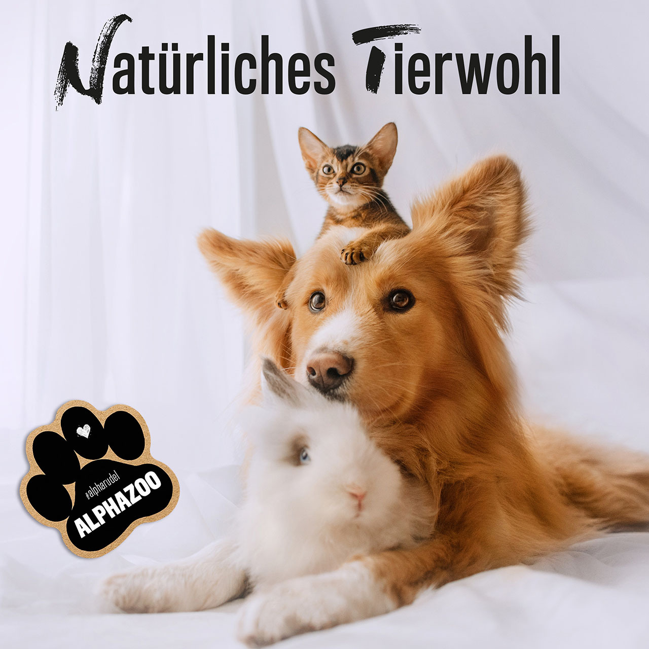 ALPHAZOO Ergänzungsfutter & Aufzucht ALPHAZOO Hagebutten-Pulver für Hunde und Katzen 750 g