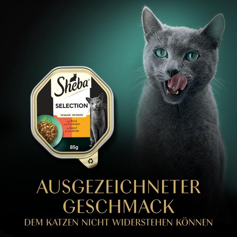 Sparpaket Sheba Schale 44 x 85 g zu TOP-Preisen