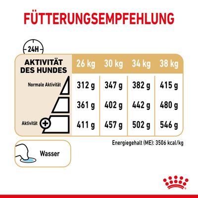 Royal Canin Labrador Retriever Adult 5+