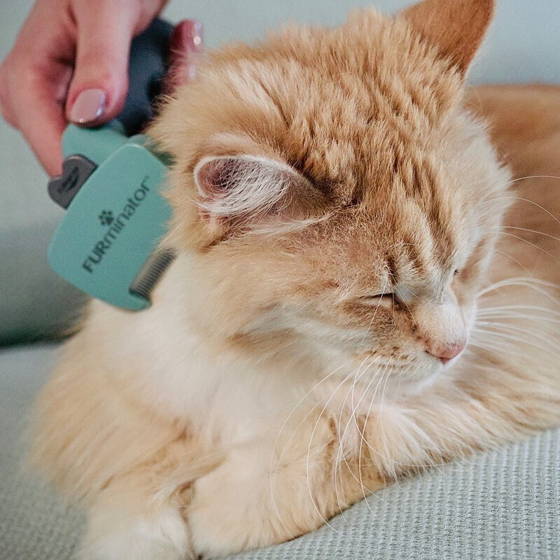 FURminator Fell- & Körperpflege FURminator Katze S Kurzhaar