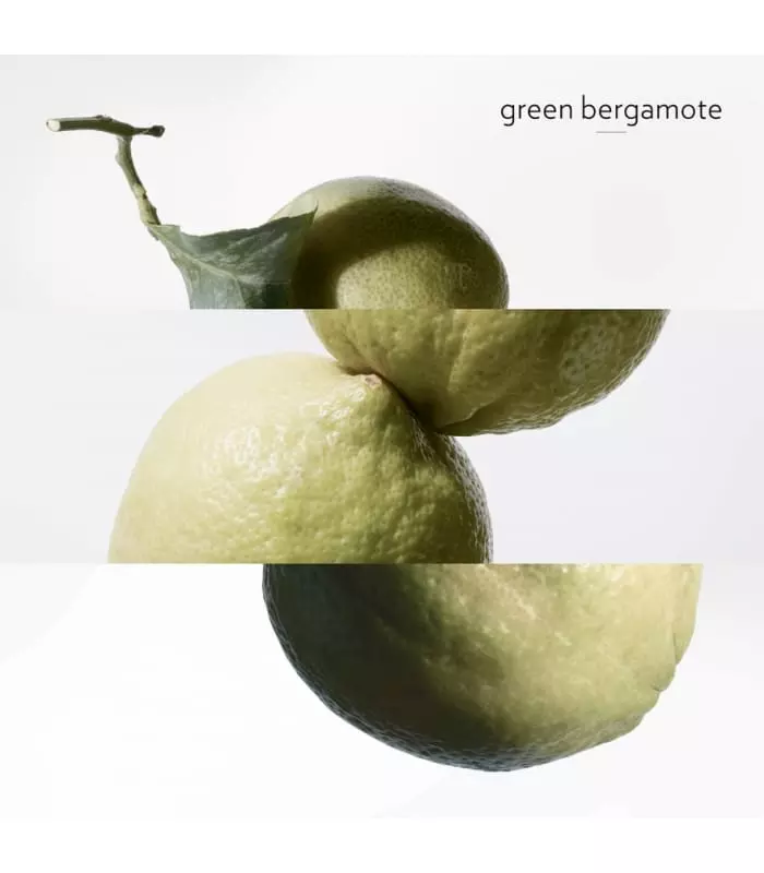 EAU DE BASILIC POURPRE  Eau de Cologne Vaporisateur