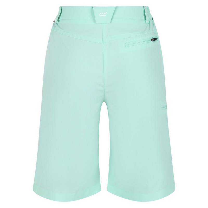 Regatta Xert It Shorts Damen