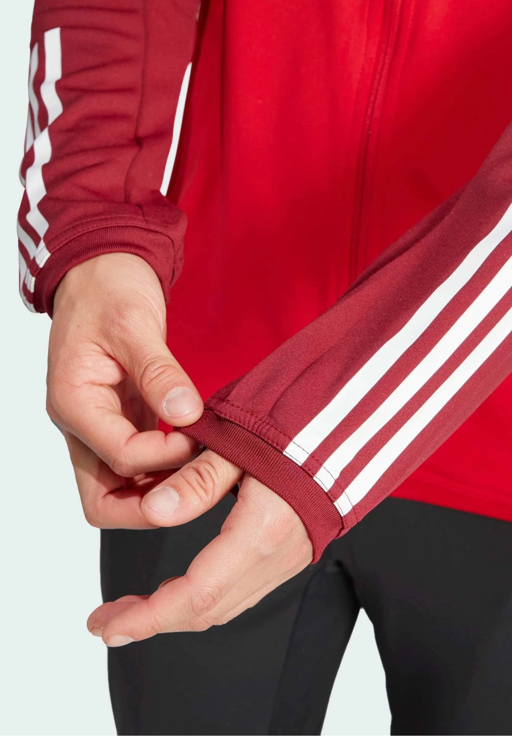 adidas Performance BENFICA TIRO 23 - Selección Nacional