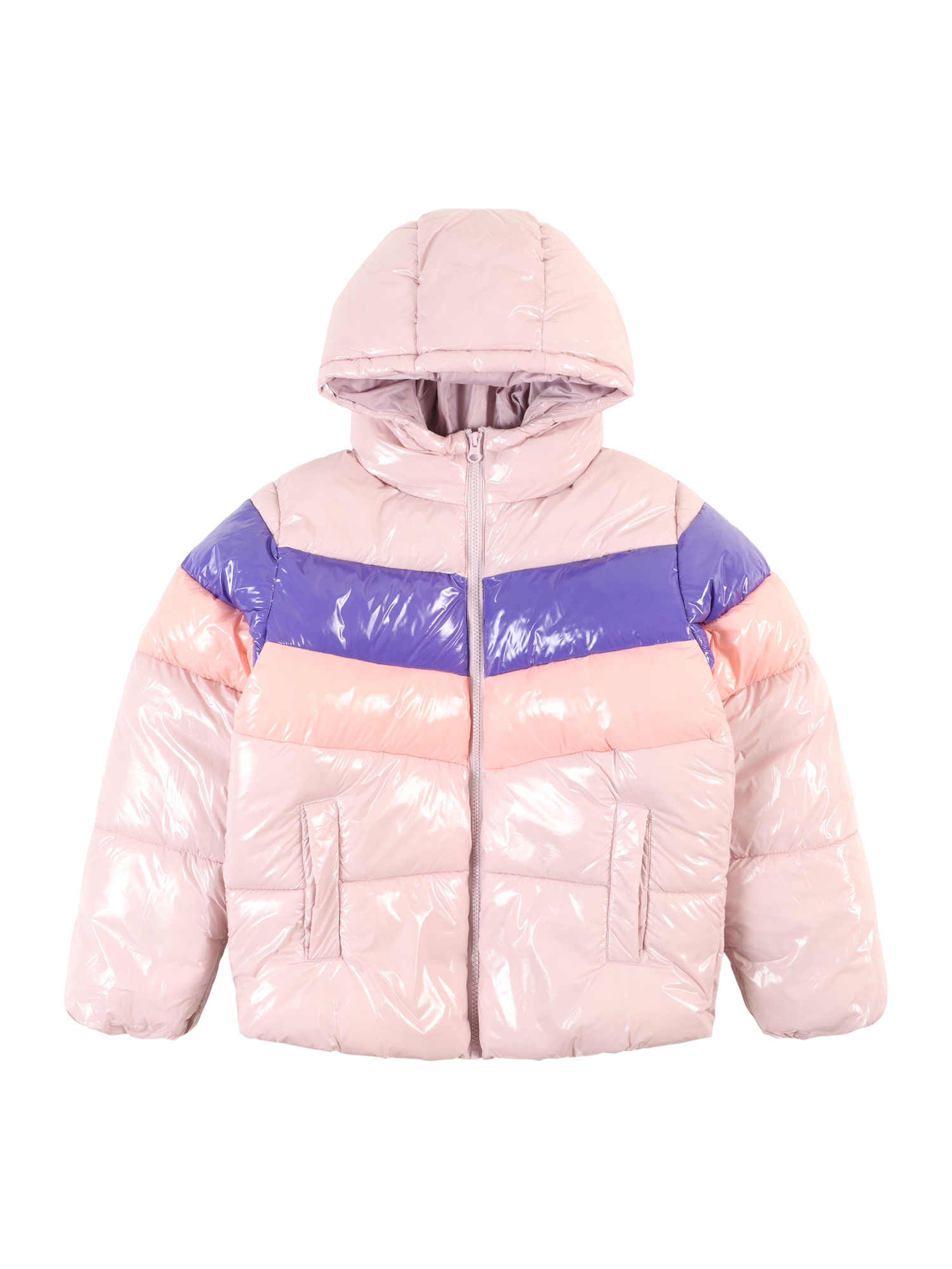 Winter Jacket
