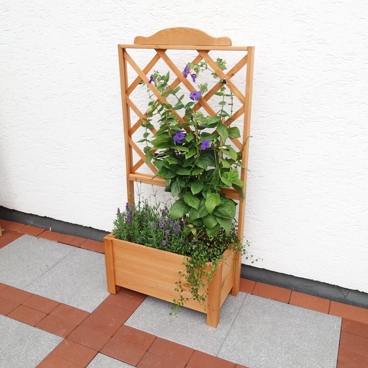 PROMEX Promadino Rankkasten Botanica 69x140 cm