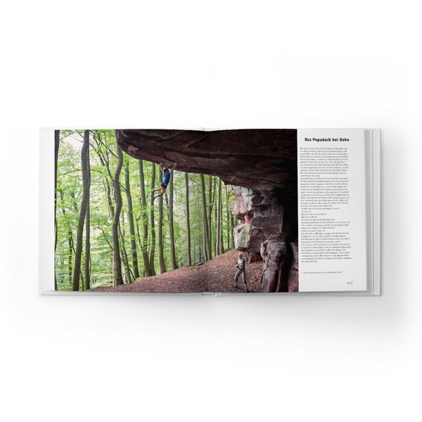 DIE PFALZ - DAS BUCH
