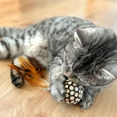 Aumüller Silvervine Dentalspielzeug Kugel